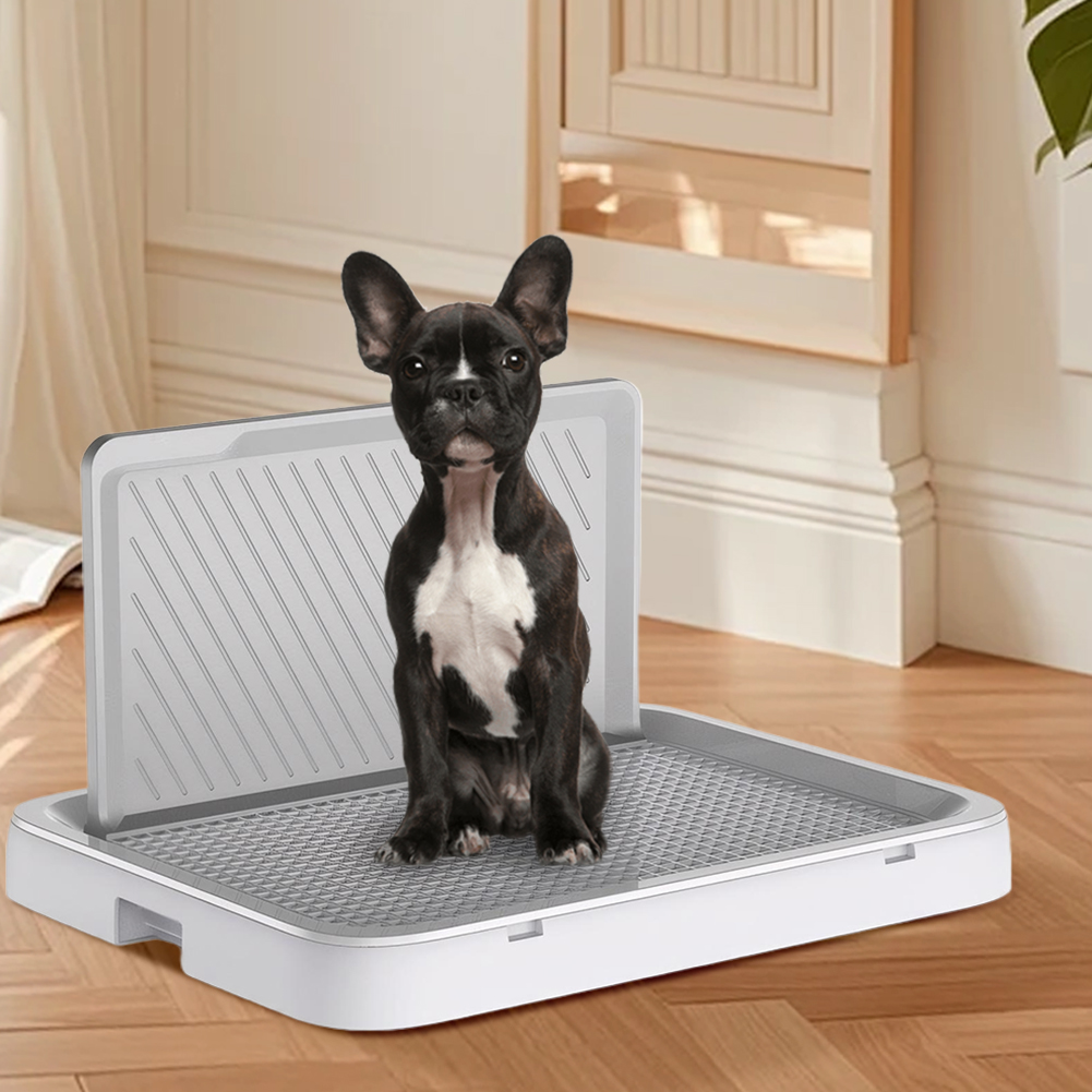 Dog Potty Tray with Pee Wall T - đánh giá và giá Bench Dog Hole