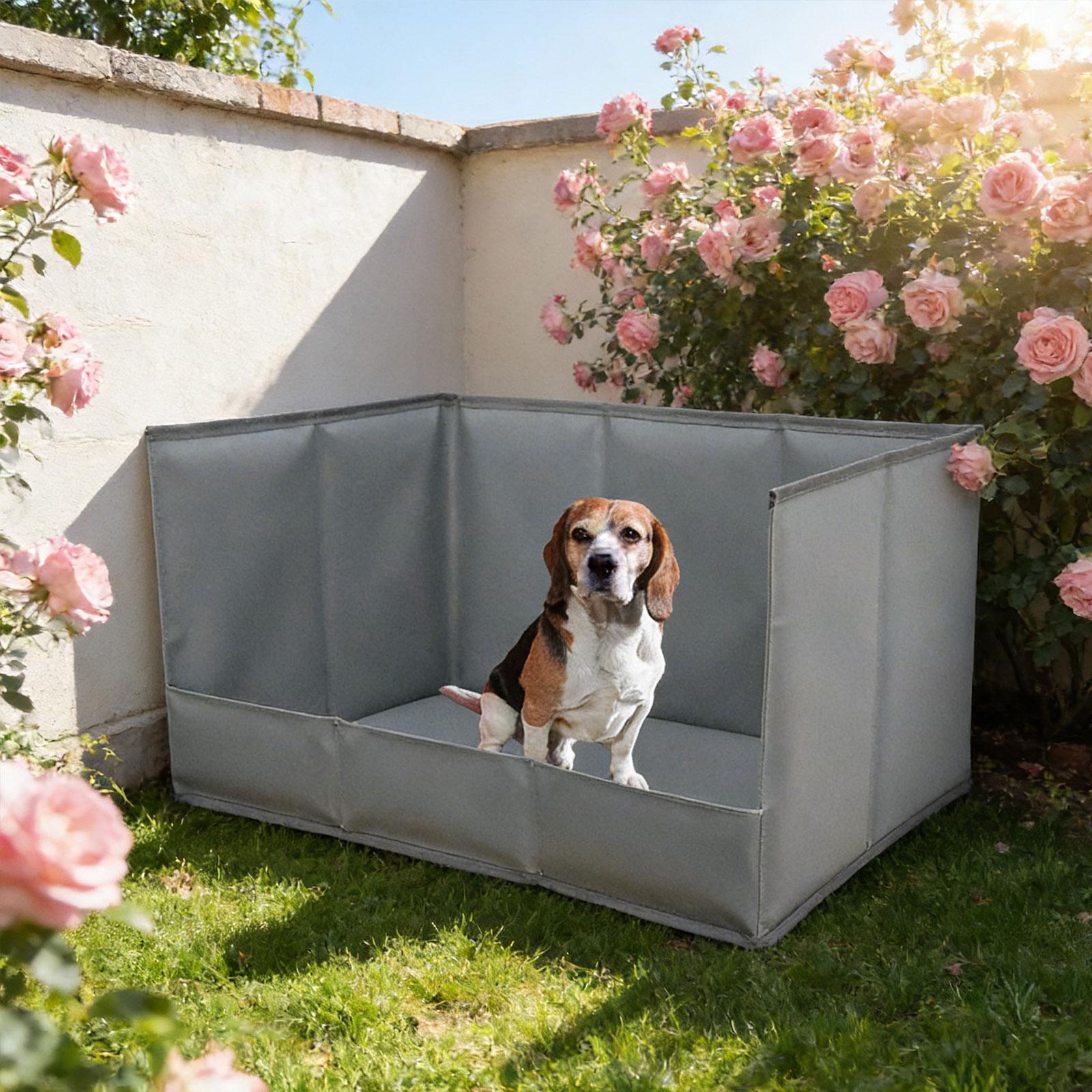 Portable Indoor Dog Potty Tray - đánh giá và giá Bench Dog Hole