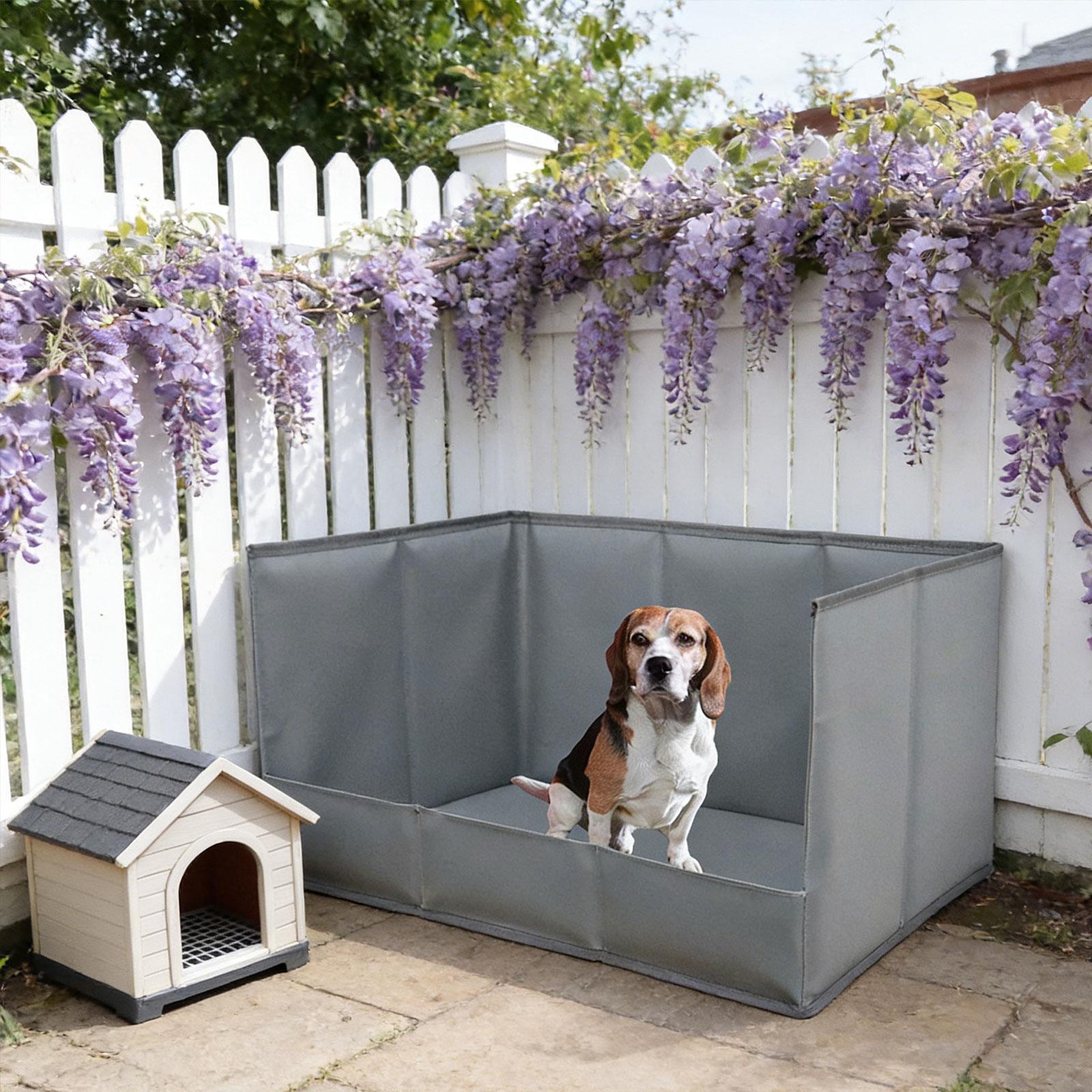 Portable Indoor Dog Potty Tray - đánh giá và giá Bench Dog Hole