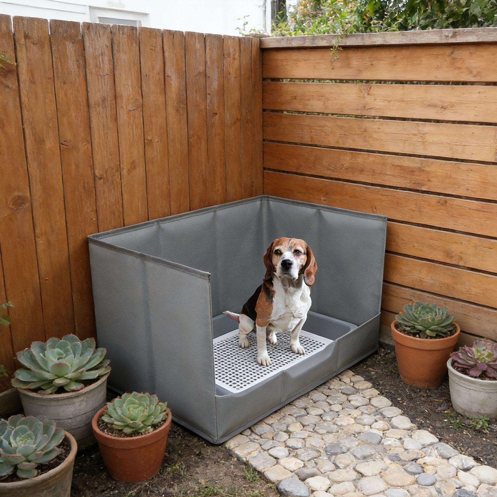 Portable Indoor Dog Potty Tray - đánh giá và giá Bench Dog Hole